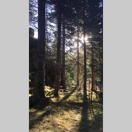 Gemuetliches Ferienhaus Am Waldrand Трёполах Экстерьер фото